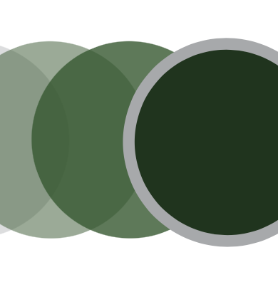 Sports Vision Bend - Transitions XTRActive - Graphite Green