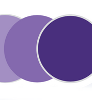 Sports Vision Bend - Transitions Color - Amethyst